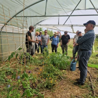 permaculture au jardin de ma cousine champ