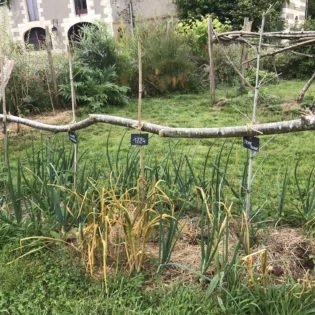 permaculture jardins de la Houssaye