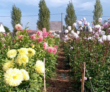 Groupe Ferme florale -CNPH Piverdière