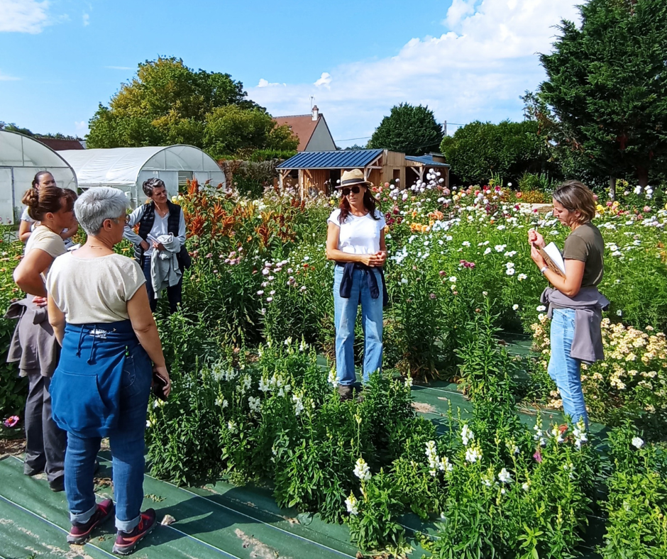 Ferme florale 24 - CNPH Piverdière