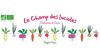 Le champs des Lucioles