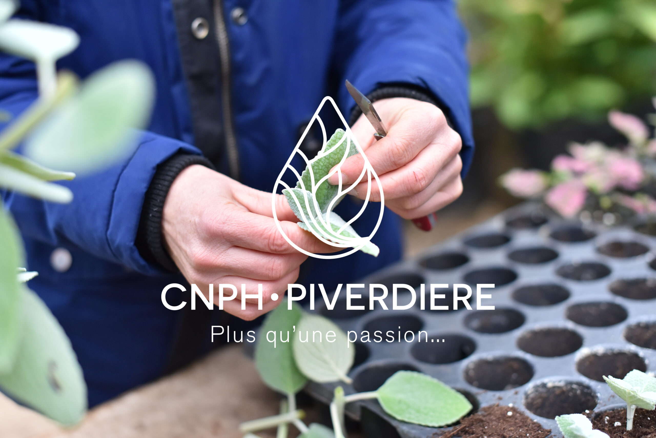 reconversion professionnelle métier de la nature